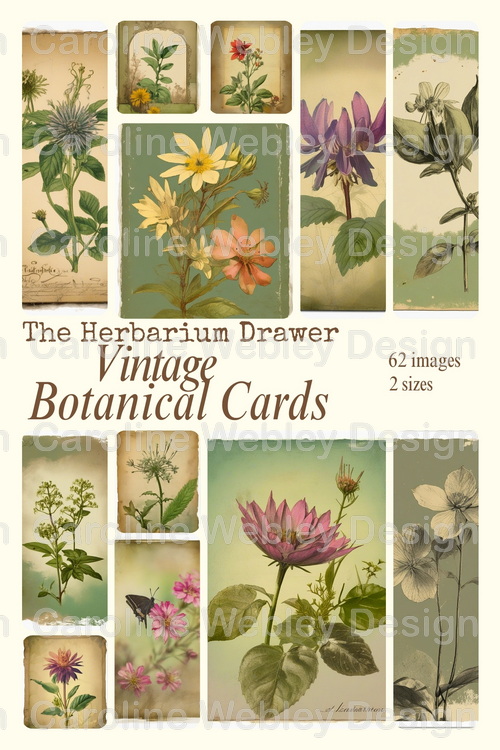 Download - The Herbarium Drawer - Vintage Botanical Cards